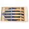 OLIVEWOOD BOX SET TABLE KNIVES X4