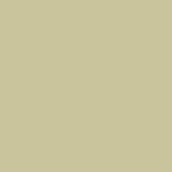 CANDLE KHAKI 29X2.2CM 12 Pack CC 02462230