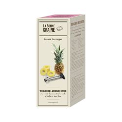 PINEAPPLE SLICER S/STEEL