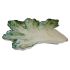 42X39CM CHARD PLATTER CLOROFILLA