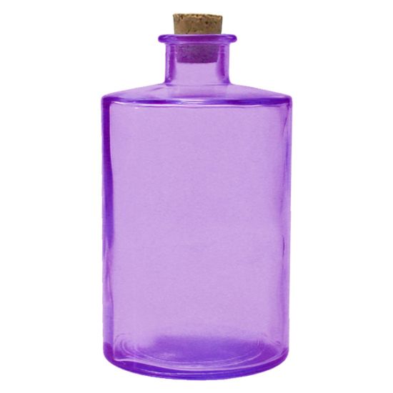 16CM/600CC BOTTLE PURPLE Pack Of 2 CC 6444091DB21