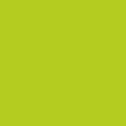 CANDLE LIME 29X2.2CM SINGLE CANDLE LIME 29X2.2CM SINGLE