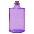 16CM/600CC BOTTLE PURPLE